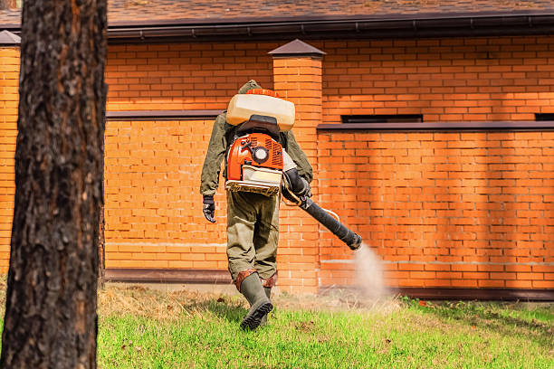 Trusted Termite Control service in Hanamaulu, HI - Nex Pest Control
